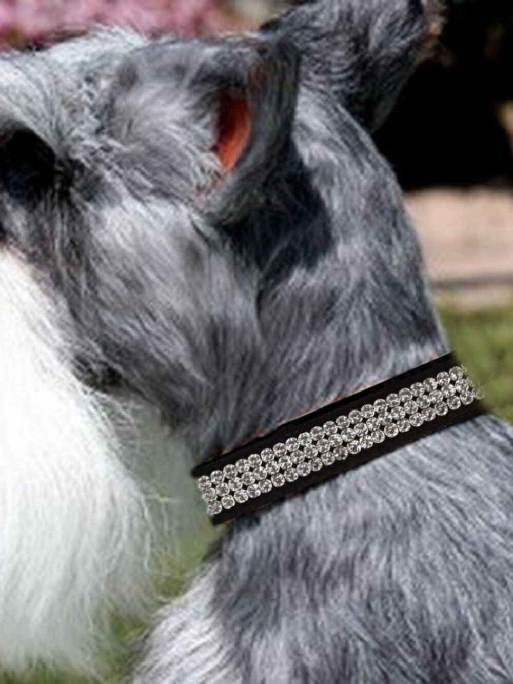 Black 3-Row Swarovski Crystal Giltmore Ultrasuede 1/2" Collar Size XS